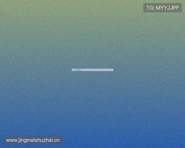 飞星NBA直播视频回放免费观看平台详细介绍及使用指南